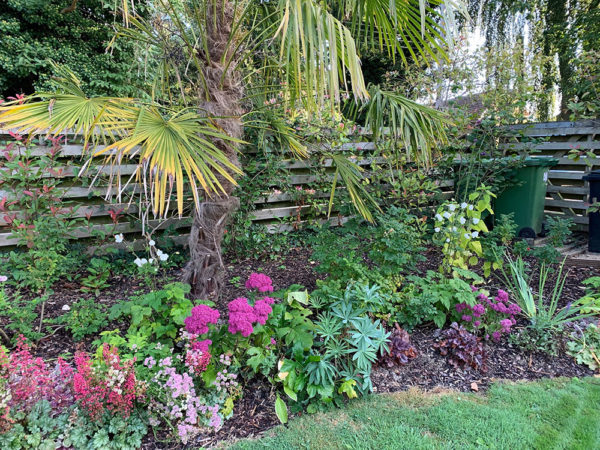 completed-updated-front-garden-end-2019-3