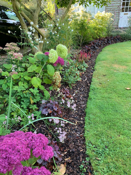 completed-updated-front-garden-end-2019-4