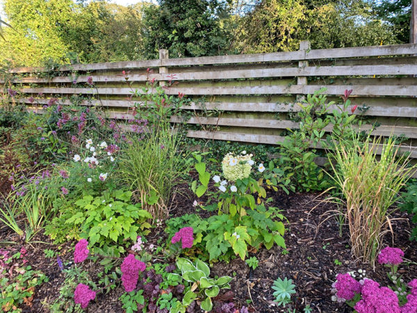 completed-updated-front-garden-end-2019-5