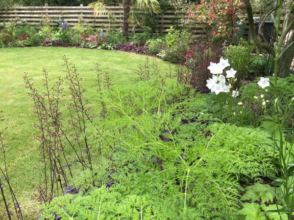 updated-front-garden-spring-2019-5