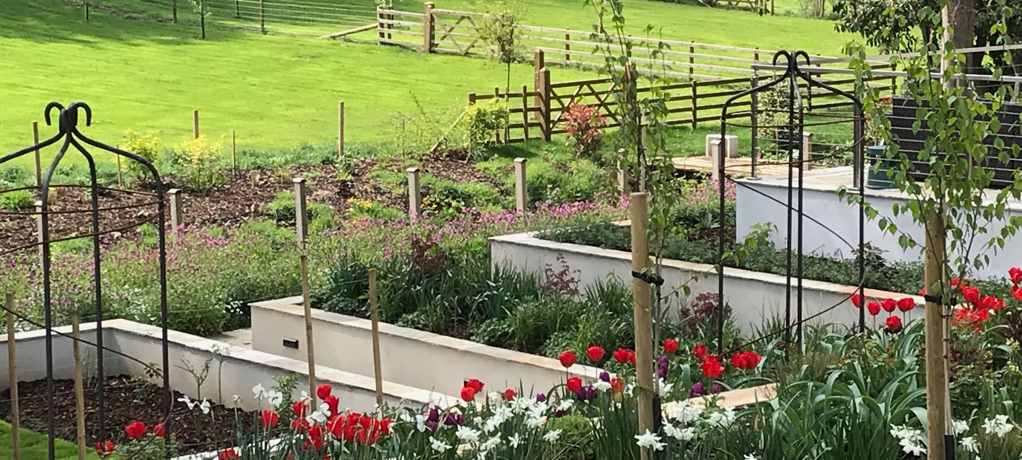 Multi Level Landscaped Garden