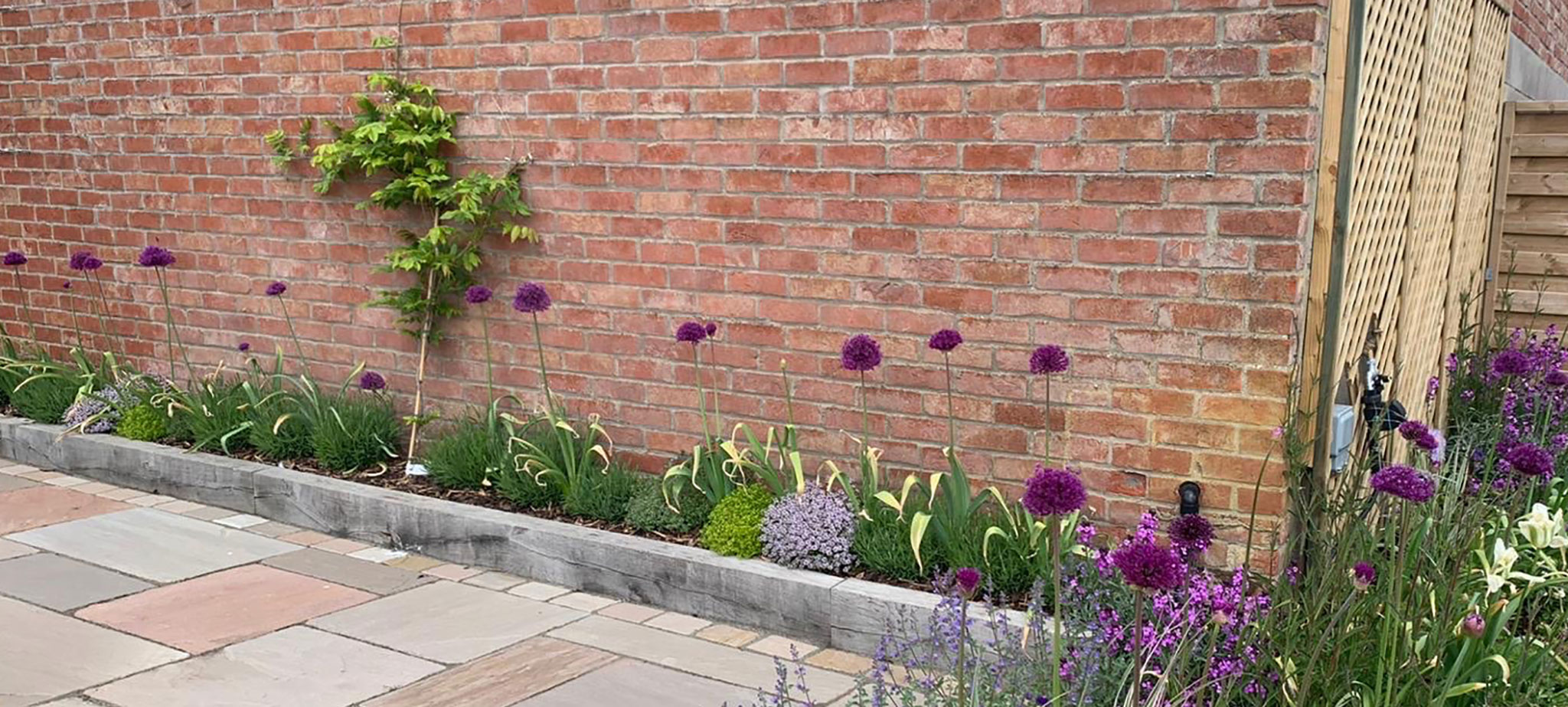 contemporary colour garden